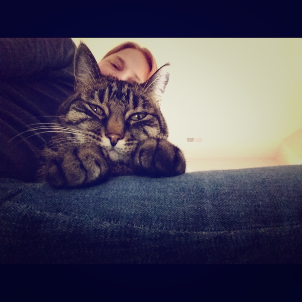 Meet your Posher, Colleen